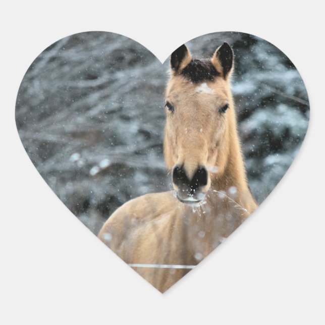 Buckskin Horse Winter Heart Sticker (Front)