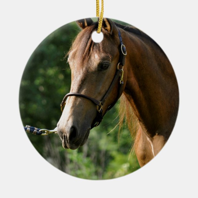 Buckskin Morgan Horse Ceramic Tree Decoration (Front)