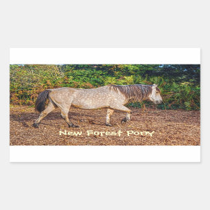 Buckskin New Forest Pony Wildlife Rectangular Sticker