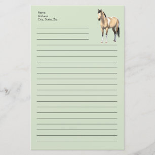 Buckskin Pinto Dun Paint Horse Staillion Stationery