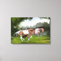 Buckskin Tobiano Paint Horses