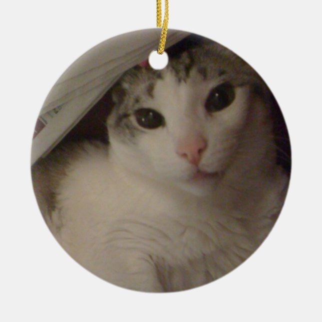 Bucky the cat ornament (Front)