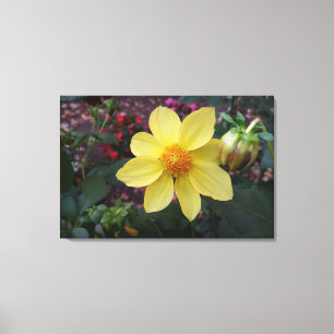 Bud and flower canvas print