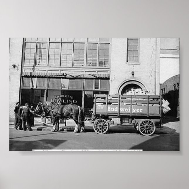 Bud delivery poster (Front)