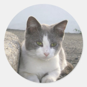 "Bud in colour" Classic Round Sticker