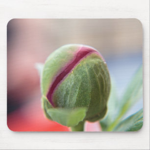 Bud of a Peony/Pfingstrosen Mouse Pad