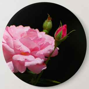 Bud of a rose 6 cm round badge