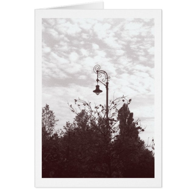 Budapest Streetlight (Front)