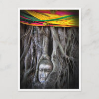Buddha And The Tree Buddhism Thailand Photography