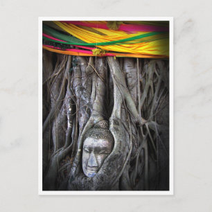 Buddha And The Tree Buddhism Thailand Photography Postcard