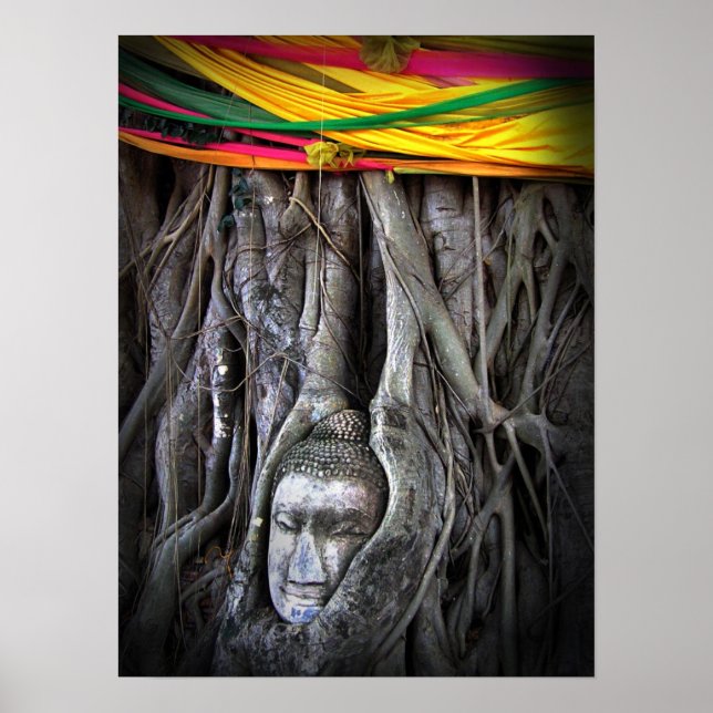 Buddha And The Tree Buddhism Thailand Photography Poster (Front)