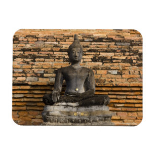 Buddha at Wat Mahathat. Magnet