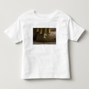 Buddha at Wat Si Chum. Toddler T-Shirt