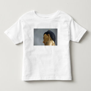Buddha Dordenma statue Toddler T-Shirt
