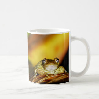 Buddha Frog Coffee Mug