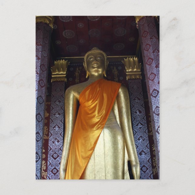 buddha gold sash postcard (Front)