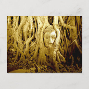 Buddha head entangled in fig roots, Ayutthaya Postcard