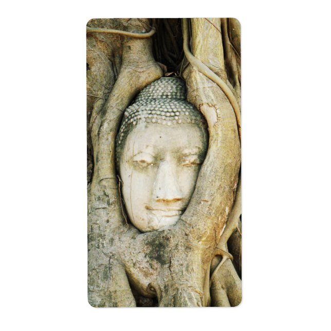 Buddha Head in the Fig Tree .. Ayutthaya, Thailand (Front)