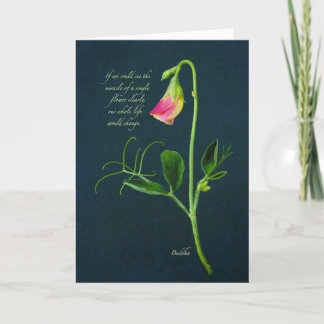 Buddha Miracle Quote Card