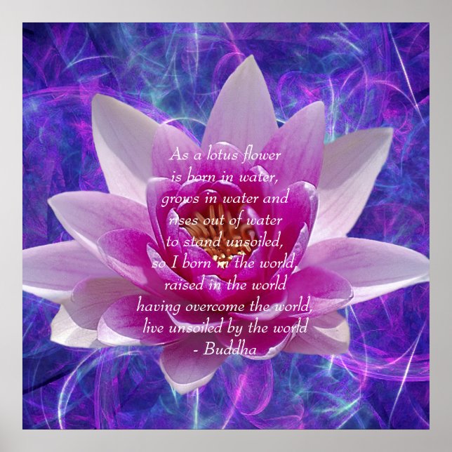 Buddha quote Lotus flower Poster (Front)