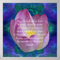 Buddha quote Lotus flower