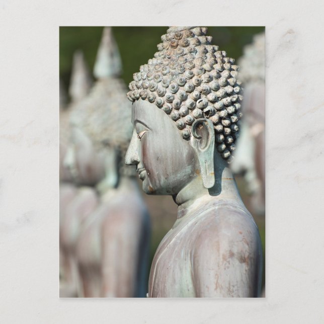 Buddha Statues, Colombo, Sri Lanka Postcard (Front)