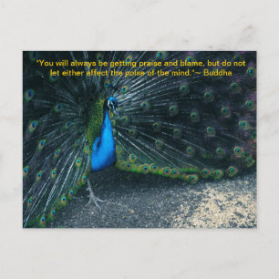 Buddha's Quote Postcard