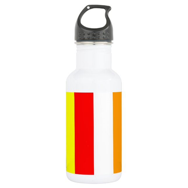 Buddhist Flag 532 Ml Water Bottle (Front)
