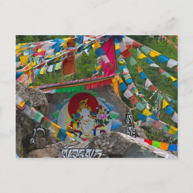 Buddhist Painting on Rocks Postcard (Front)