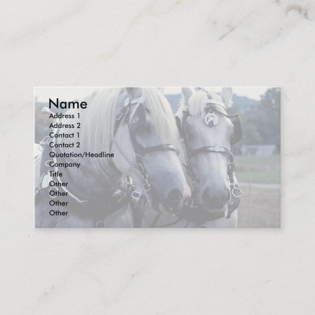 Buddies, horse team business card (Front)
