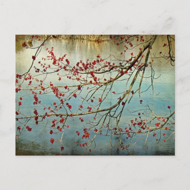 Budding Out Postcard (Front)