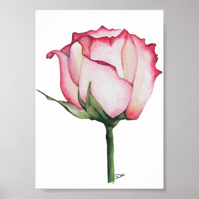  Budding Rose Premium 5x7 Canvas Gloss Poster (Front)