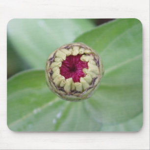 Budding Zinnia Mouse Pad
