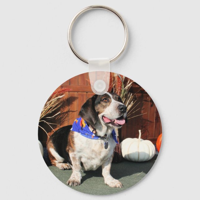 Buddy Beagle Basset Hybrid Photo-01 Key Ring (Front)