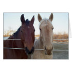 Buddy - Buddy -- Blank Inside