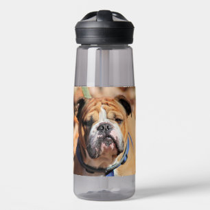 Buddy bulldog water bottle