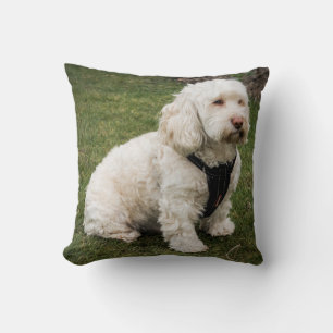Buddy Cushion