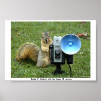 BUDDY P. SQUIRREL POSTER 