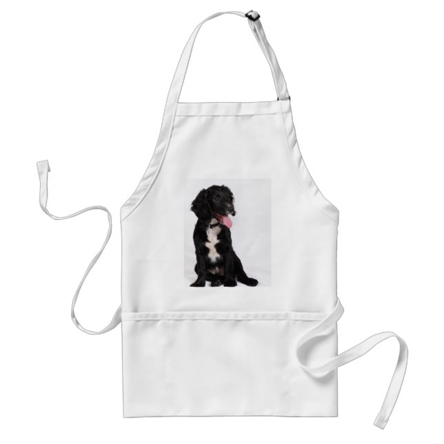 Buddy Standard Apron (Front)
