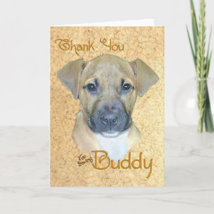 Buddy Thank you Card