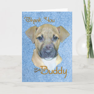 Buddy Thank you Card