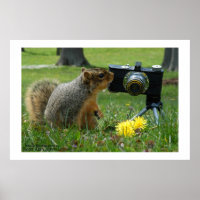 Buddy The Squirrel and his Camera