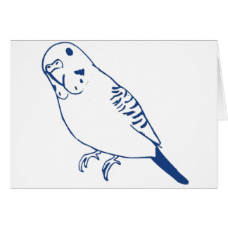Budgerigar