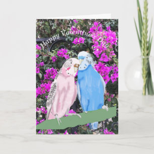 Budgerigar and Bourganvillia Holiday Card