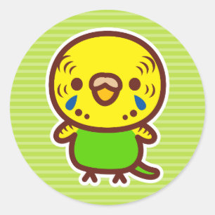 Budgerigar / Normal female Classic Round Sticker