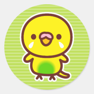 Budgerigar / Recessive pied budgie Classic Round Sticker