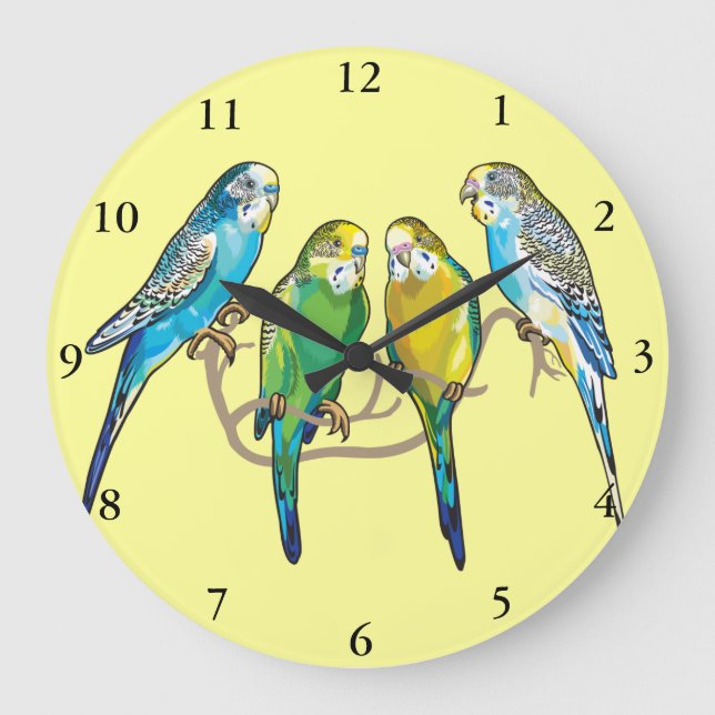 budgerigars large clock (Front)