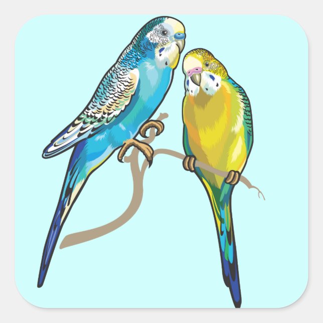 budgerigars square sticker (Front)