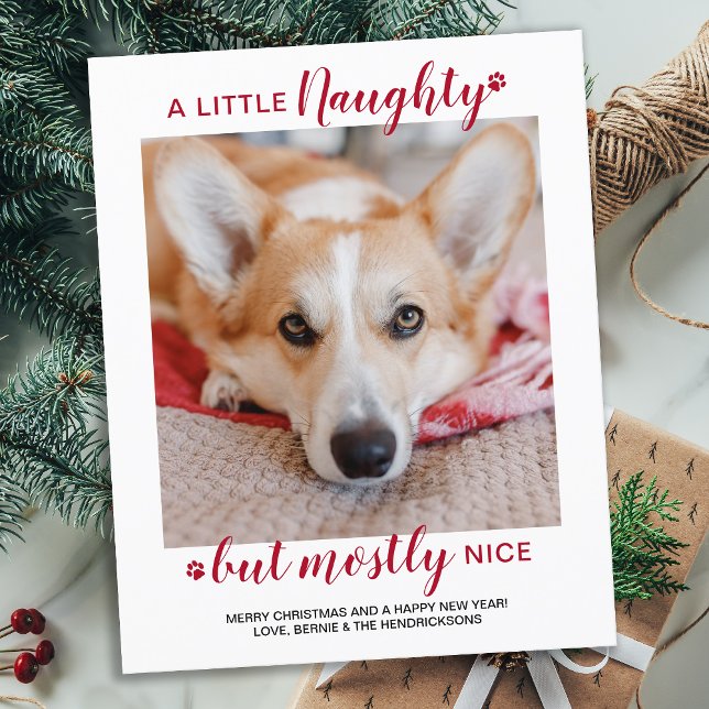 Budget A Little Naughty Dog Pet Photo Holiday Card (Creator Uploaded)