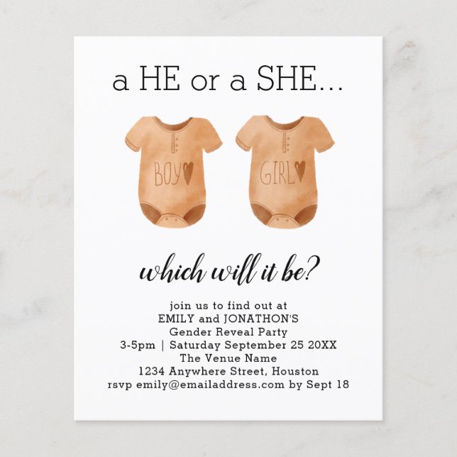 Budget Baby Clothes He She Gender Reveal Invite (Front)